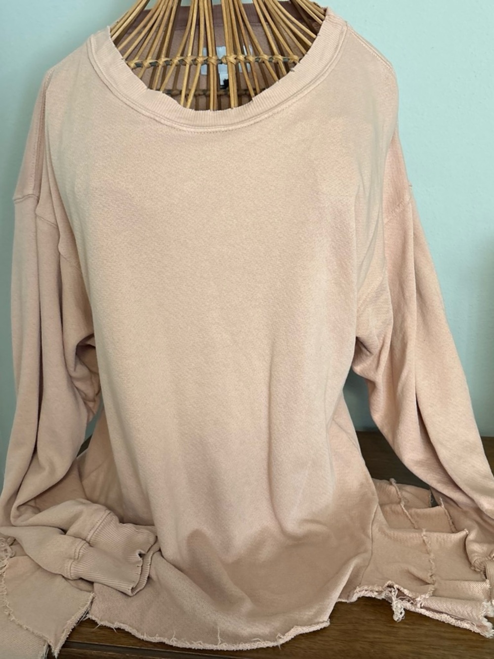 Neutral Blush Long Sleeve Women's Top